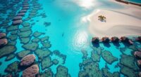 coral conservation in paradise
