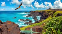 galapagos wildlife adventure awaits