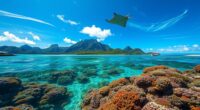 exploring pacific islands reefs