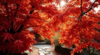 autumn leaf viewing tradition