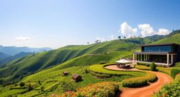 luxury gorilla travel rwanda