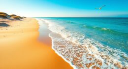 beach healing science