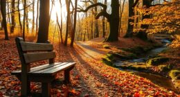 enjoy the journey slowly