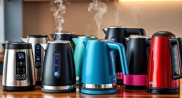 top electric kettles with temp