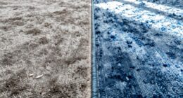 fresh vs truly clean