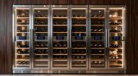 top dual zone wine fridges
