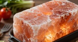 top himalayan salt grills