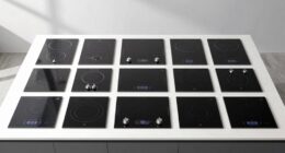 top portable induction ranges