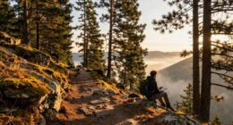 balancing guidance with solitude