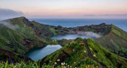 island refuge for rejuvenation