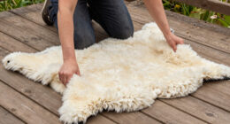 10 Best Best Premium Sheepskin Rug Real in 2026