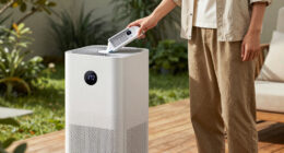 13 Best Premium Air Purifiers for Mold Spores in 2026