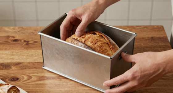 13 Best Premium Bread Box Large in 2026