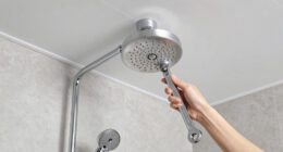 4 Best Rainfall Shower Head Ceiling Mount in 2026