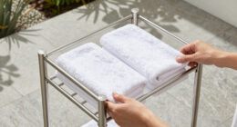 6 Best Best Freestanding Towel Valet Premium in 2026