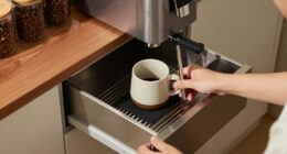 6 Best Warming Drawer for Home Coffee Bar in 2026