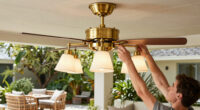 7 Best Best Premium Ceiling Fan Chandelier in 2026