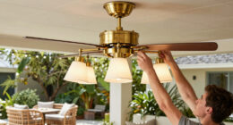 7 Best Best Premium Ceiling Fan Chandelier in 2026