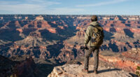 Grand Canyon, Alaska, United States Surges In Global Coverage