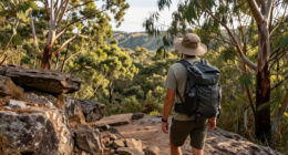 Nattai National Park, New South Wales, Australia Surges In Global Coverage