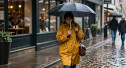 15 Best Compact Travel Umbrellas for 2027